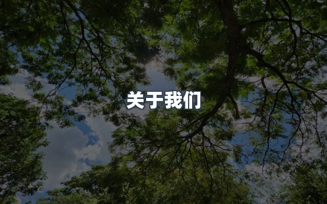 团队合作